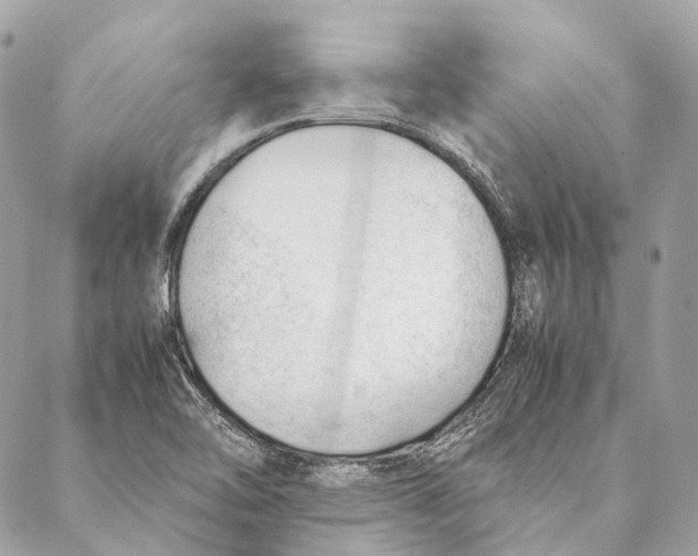 X0000087391462200705111748