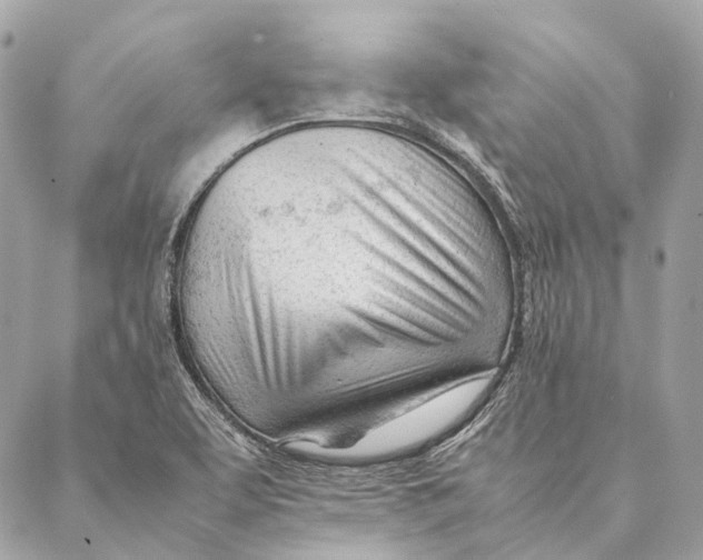 X0000087391463200705111748