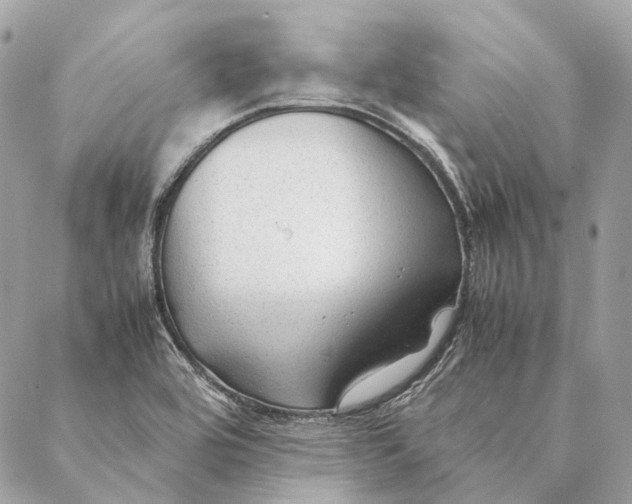 X0000087391464200705111748