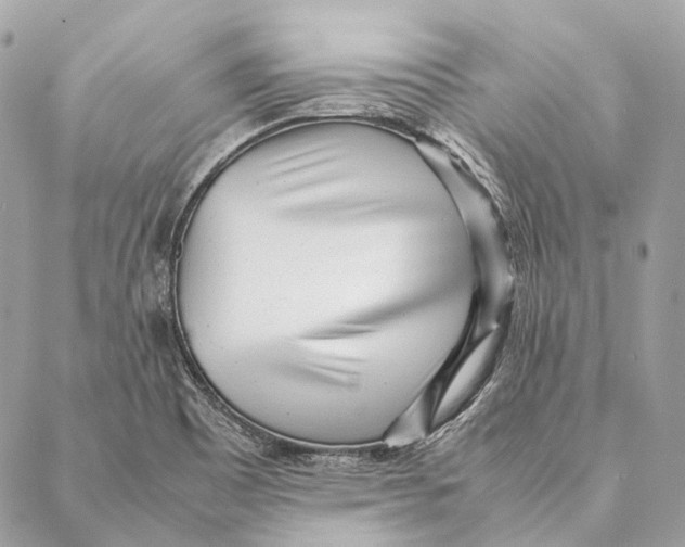 X0000087391465200705111748