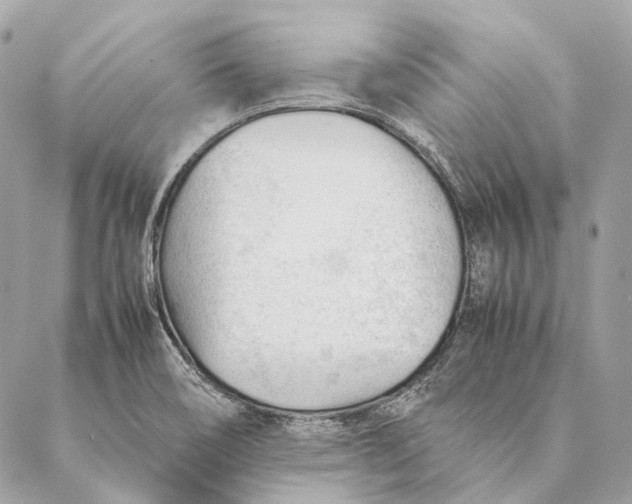 X0000087391466200705111748