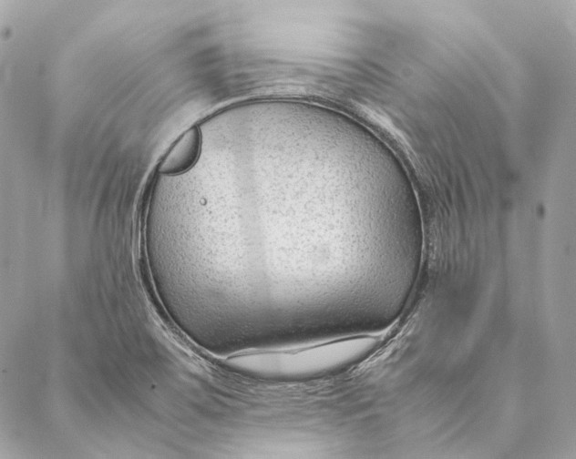 X0000087391467200705111748