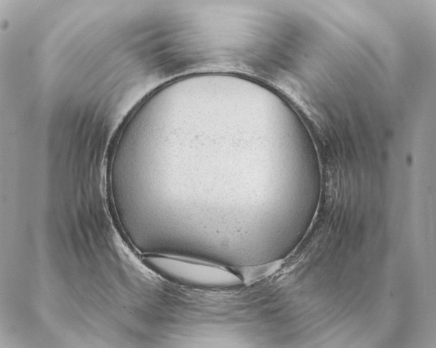 X0000087391468200705111748