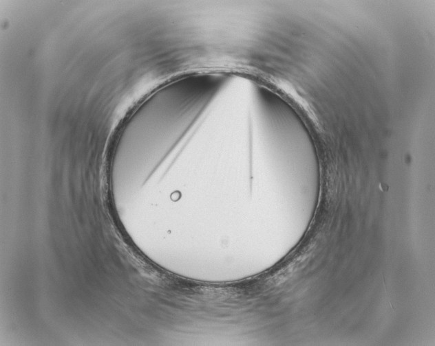 X0000087391469200705111748