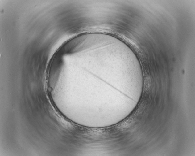 X0000087391470200705111748