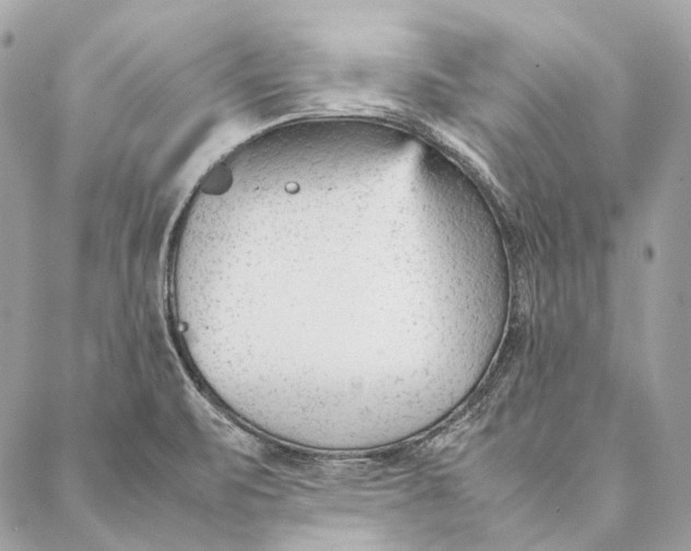 X0000087391471200705111748