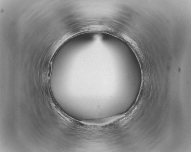 X0000087391473200705111748