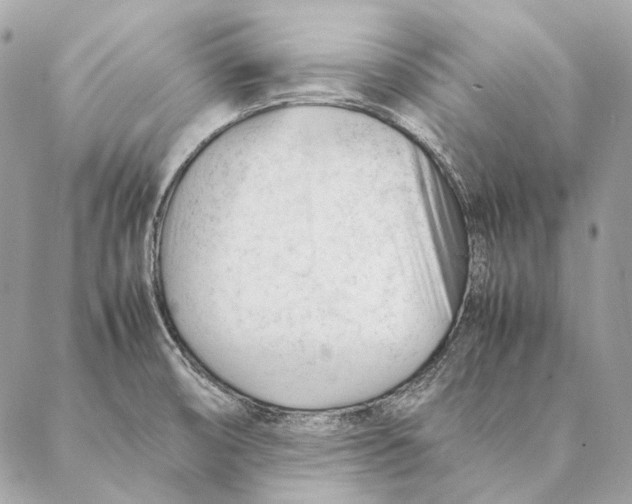 X0000087391474200705111748