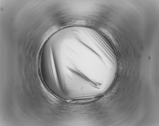 X0000087391475200705111748