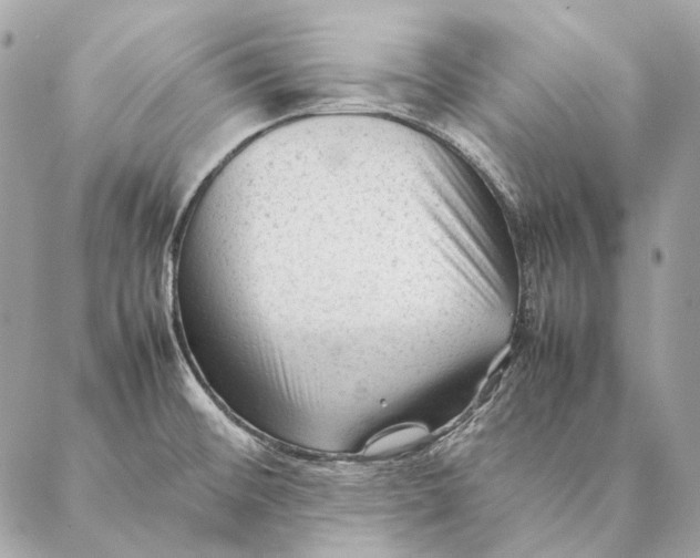 X0000087391476200705111748