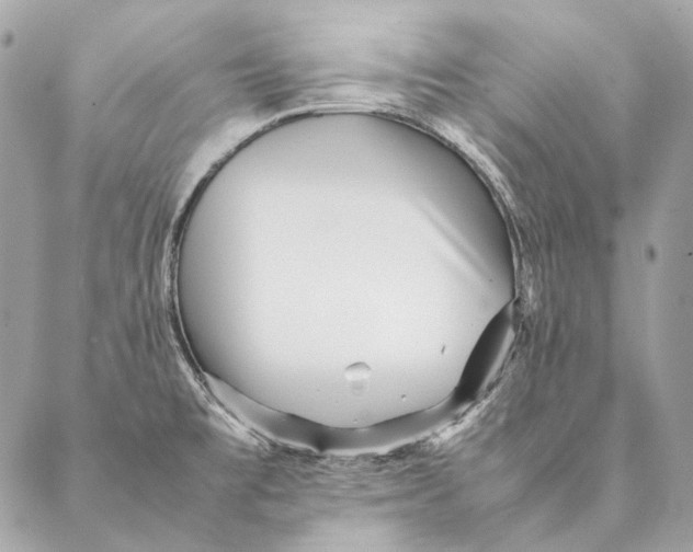 X0000087391477200705111748