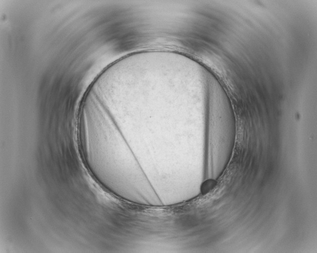 X0000087391478200705111748