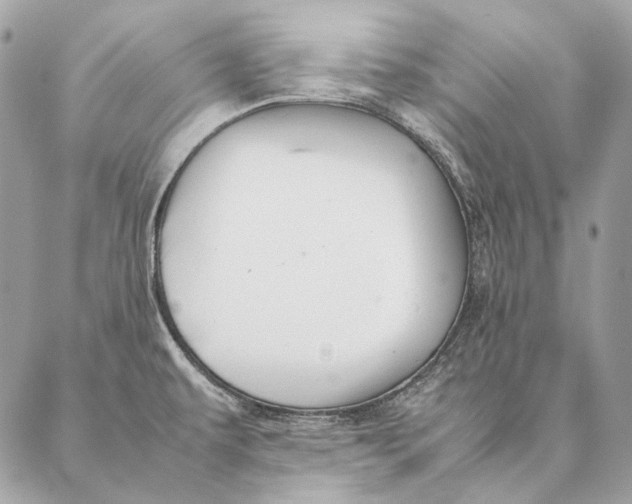 X0000087391479200705111748