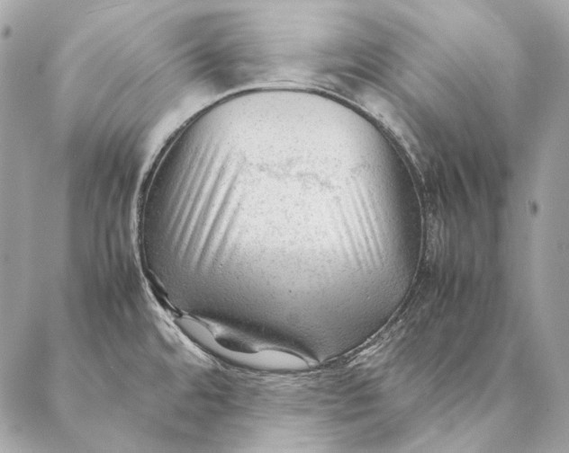 X0000087391480200705111748