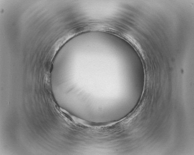 X0000087391481200705111748