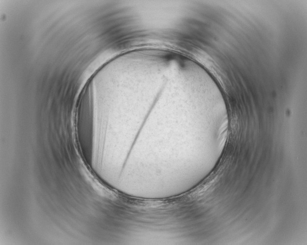 X0000087391482200705111748