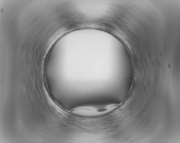 X0000087391483200705111748