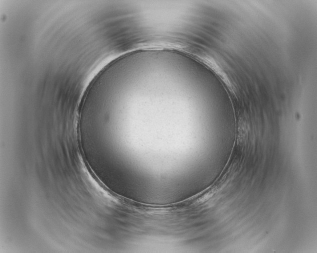 X0000087391484200705111748