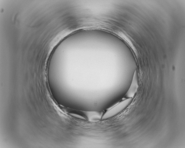 X0000087391485200705111748