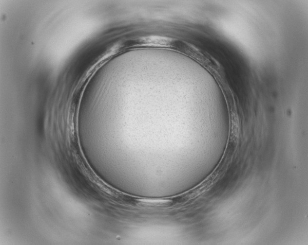 X0000087391487200705111748