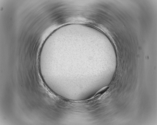 X0000087391488200705111748