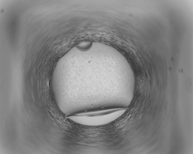 X0000087391489200705111747