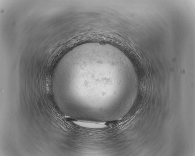 X0000087391490200705111747