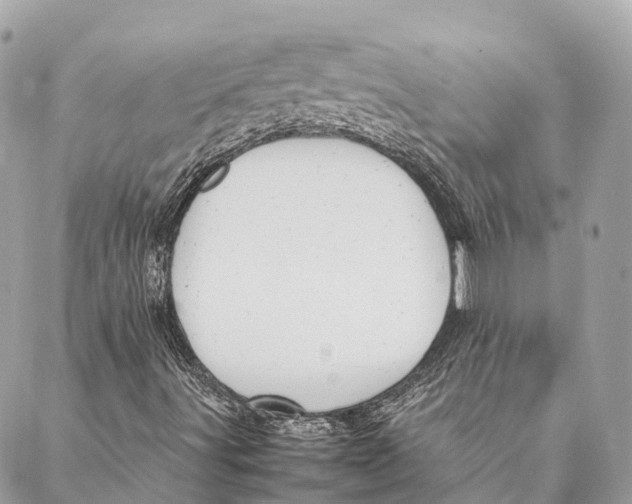 X0000087391491200705111747