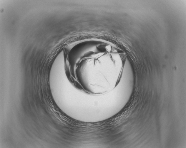 X0000087391492200705111747