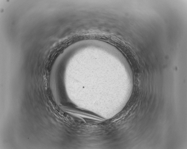 X0000087391493200705111747