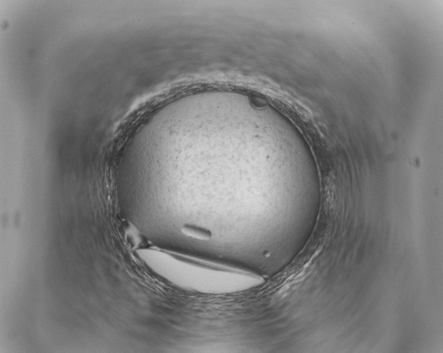 X0000087391494200705111747