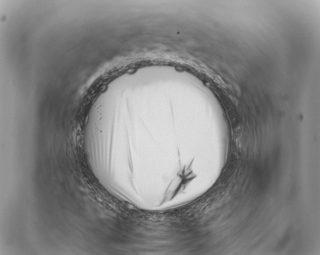 X0000087391495200705111747