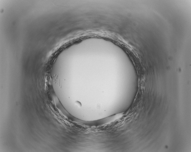 X0000087391496200705111747