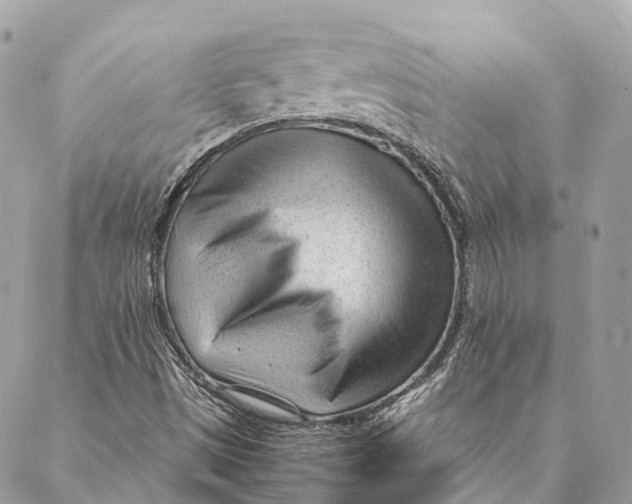 X0000087391497200705111747