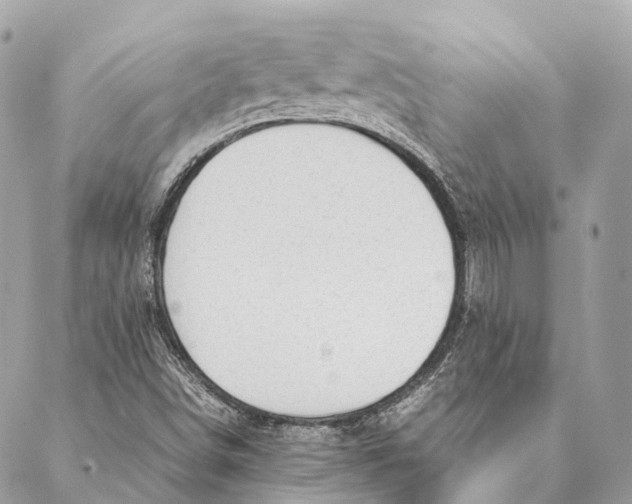 X0000087391498200705111747