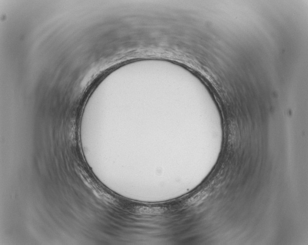 X0000087391499200705111747