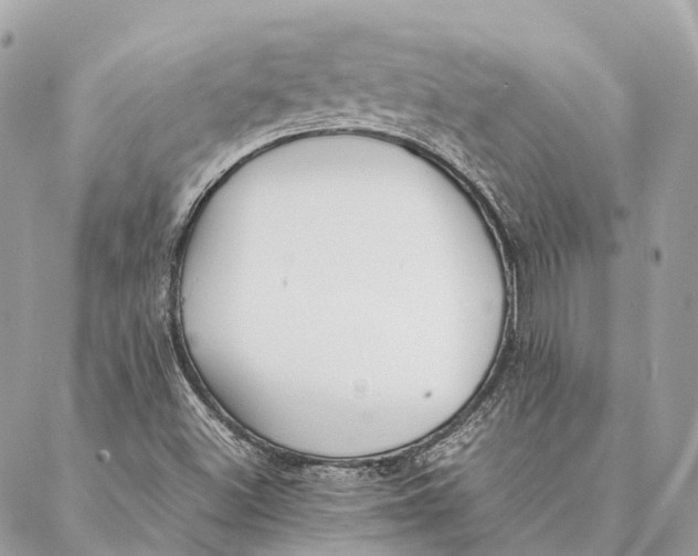 X0000087391500200705111747