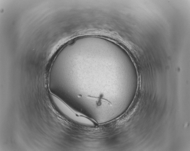 X0000087391501200705111747