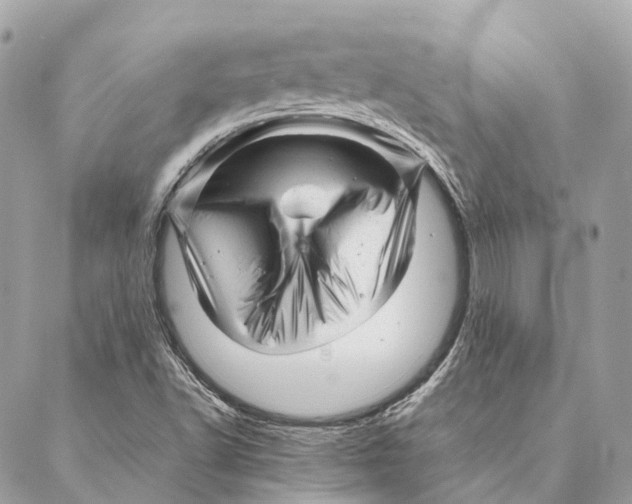 X0000087391502200705111747