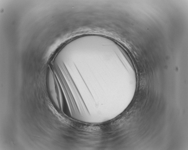 X0000087391503200705111747