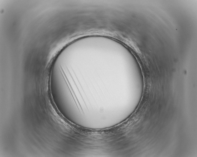 X0000087391504200705111747