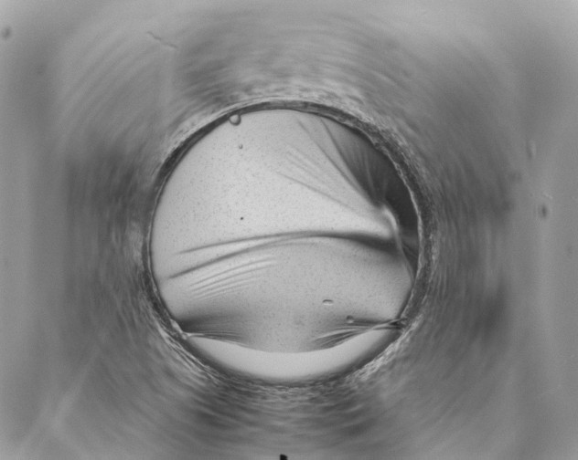 X0000087391505200705111747