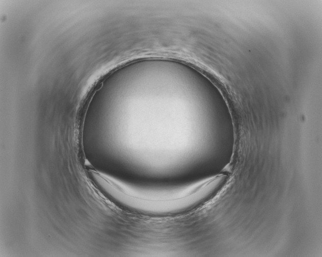 X0000087391506200705111747