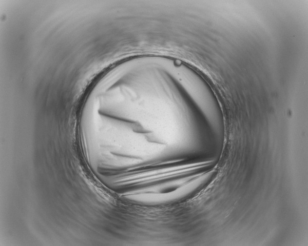 X0000087391507200705111747