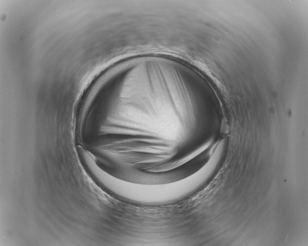 X0000087391508200705111747