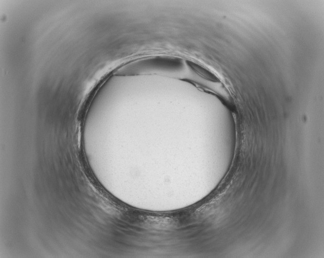 X0000087391509200705111747