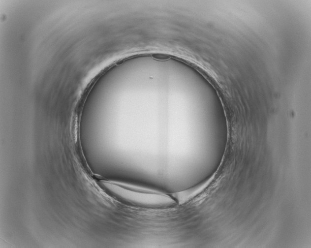 X0000087391510200705111747