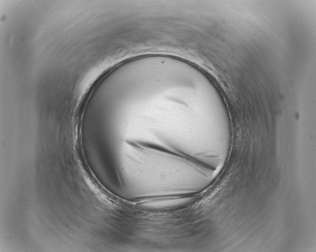 X0000087391511200705111747