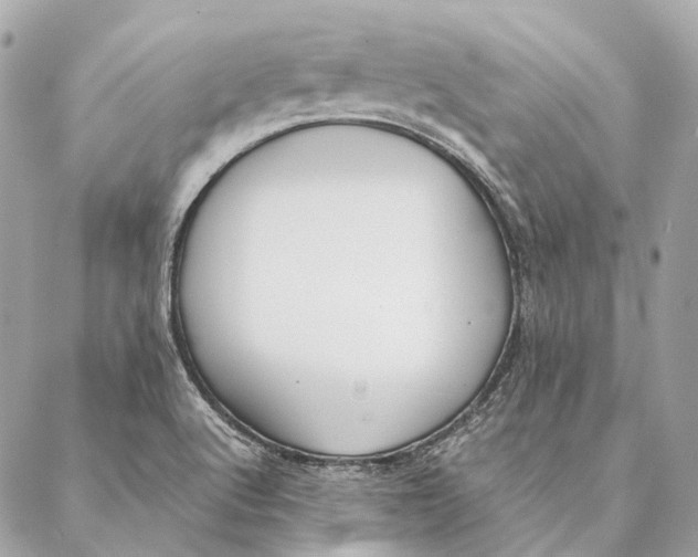 X0000087391512200705111747