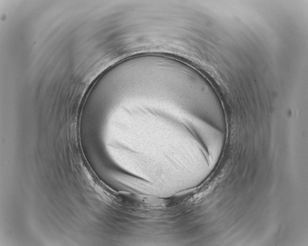 X0000087391513200705111747